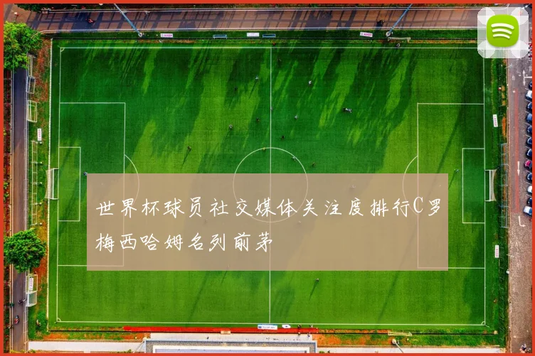 世界杯球员社交媒体关注度排行C罗梅西哈姆名列前茅